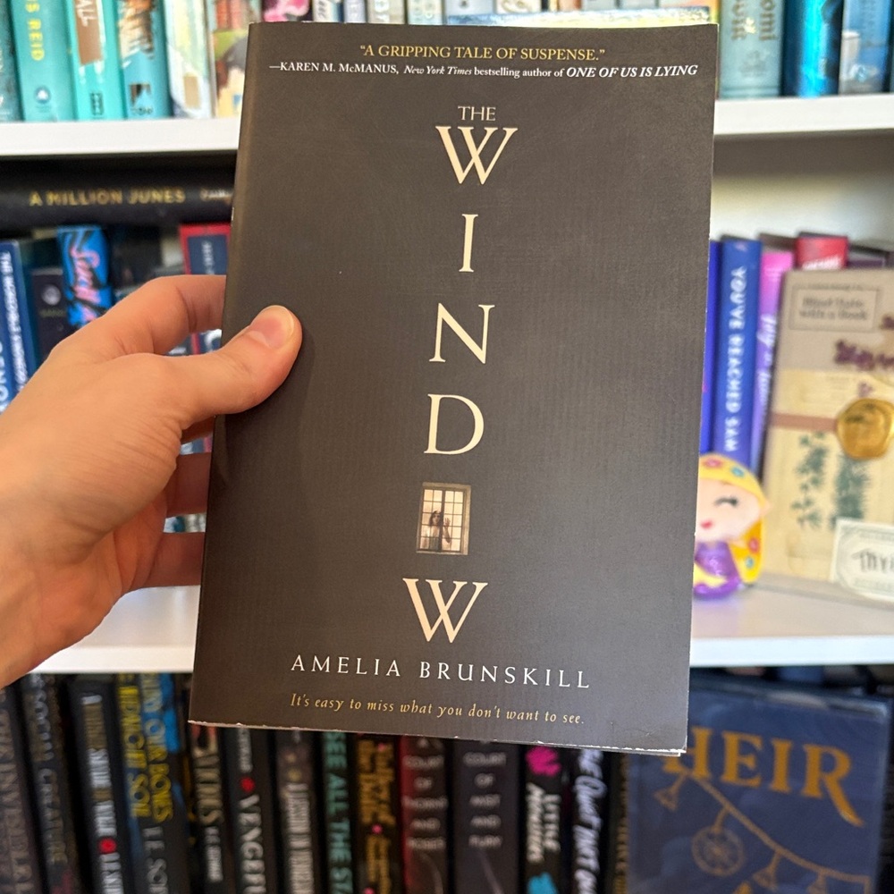The Window by Amelia Brunskill New First Edition